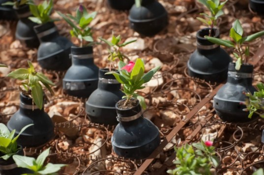 Flowers planted in used tear gas grenades form a memorial garden on the spot where, in a 2009 demonstration in the West Bank village of Bil'in, Bassem Abu Rahme was shot and killed with a high-velocity tear gas grenade fired by Israeli soldiers, Bil'in, West Bank, October 4, 2013. The grenades are left over from clashes between Israeli soldiers and Palestinians during the weekly protest in Bil'in.